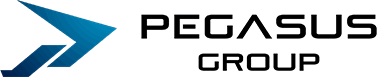 株式会社ペガサス